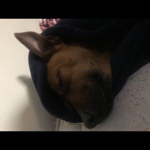 Meet your Posher, Danny